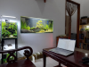 THIẾT KẾ HỒ CÁ TREO TƯỜNG