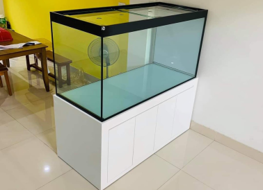 Cách đặt hồ cá trong nhà theo phong thủy