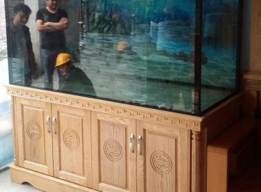 Công ty chuyên lắp đặt hồ cá rồng đẹp giá tốt chất lượng