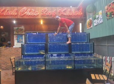 Đừng bỏ lỡ đơn vị chuyên lắp đặt hồ hải sản nhanh chóng TPHCM