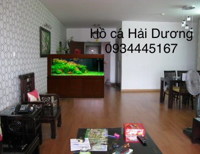 Vẻ đẹp ấn tượng của hồ thuỷ sinh tạo nên không gian xanh