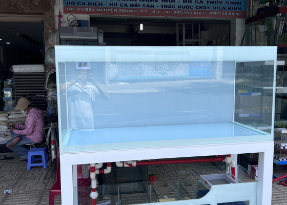 HỒ CÁ CÔNG NGHỆ MỚI, HỆ LỌC ỐNG ĐỎ HIỆN ĐẠI