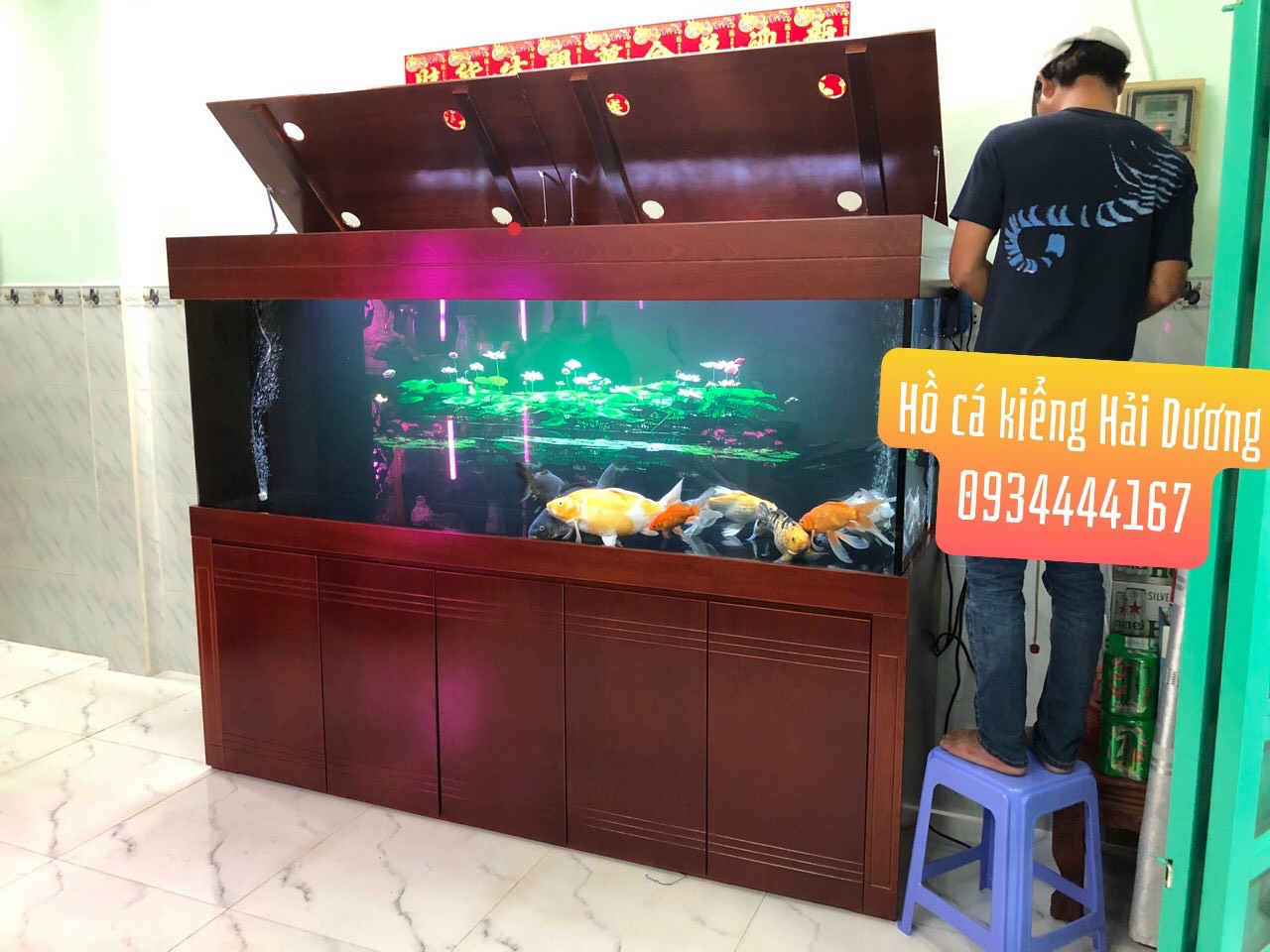 chuyên lắp đặt hồ cá rồng đẹp giá tốt