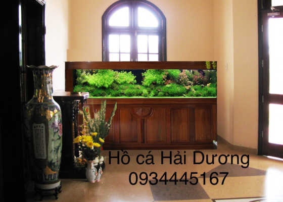 Mẫu hồ cá thủy sinh 2