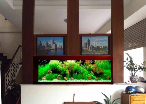 Mẫu hồ cá thủy sinh 3
