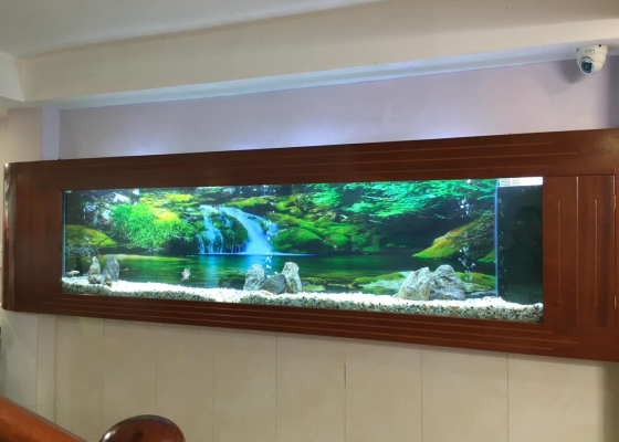 Mẫu hồ treo tường 1