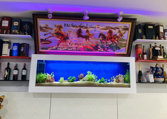 Mẫu hồ treo tường 2