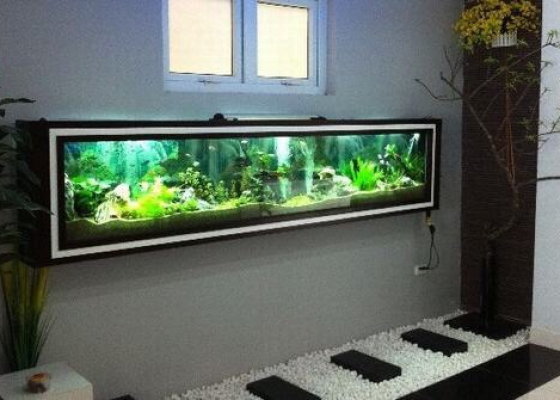 Mẫu hồ treo tường 4