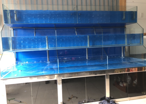 Hồ cá hải sản tại quận 1