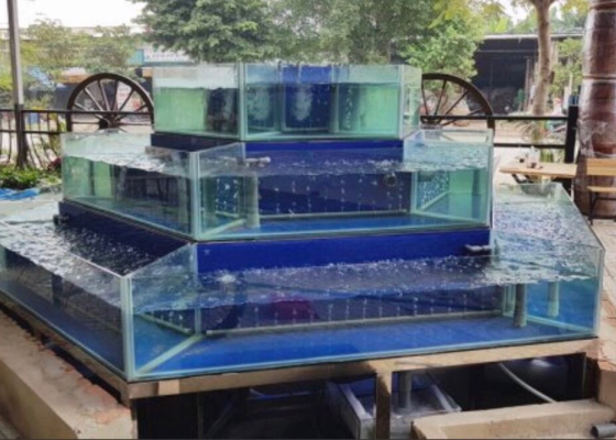 hồ cá hải sản quận tân bình