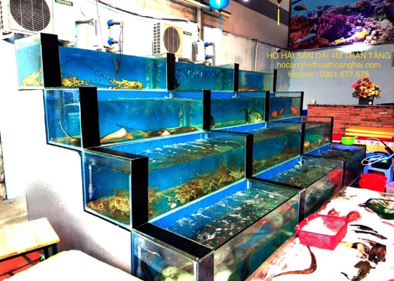 thi công thiết kế hồ cá hải sản tại hồ chí minh