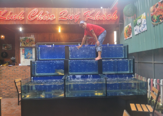 thi công hồ cá hải sản cho nhà hàng