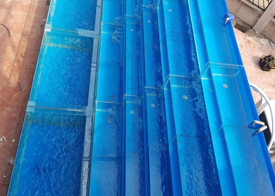 Hồ cá hải sản quận 7
